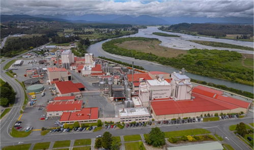 架起中澳合作 乳業橋梁 伊利出席中澳工商界首席執行官圓桌會